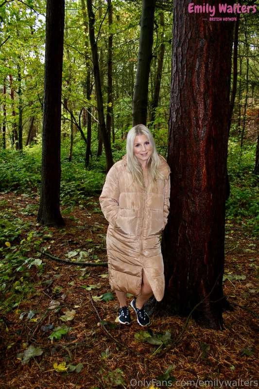 If you go down in the woods today, you're sure of a big surp..