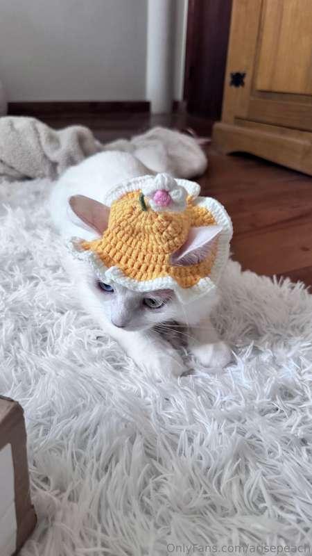 Yuki said she didn’t liked her new hat 🥺
