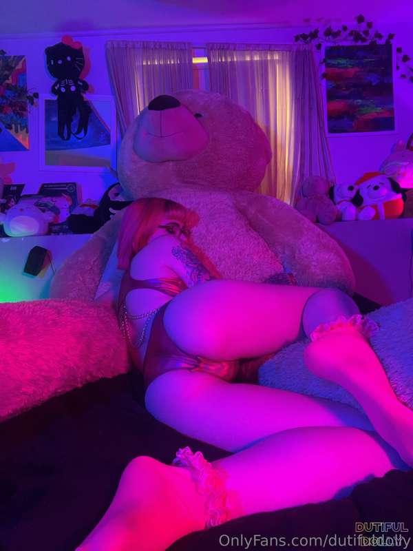 dutifuldolly image #0