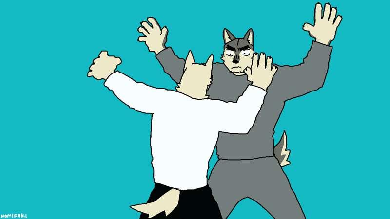 ANIMATION