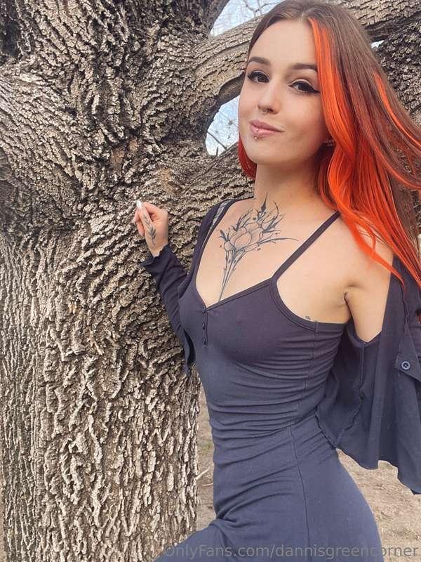 dannisgreencorner image #1