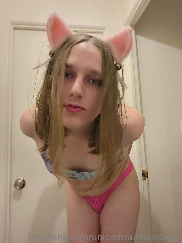 unicornrainbowbrain image #0
