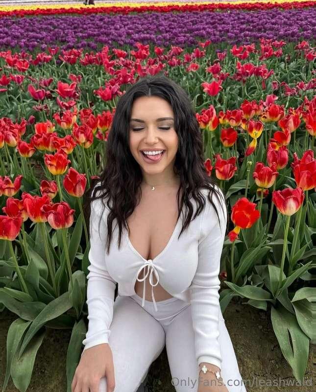 Which one is your favorite Babe? 🌷💐🌸