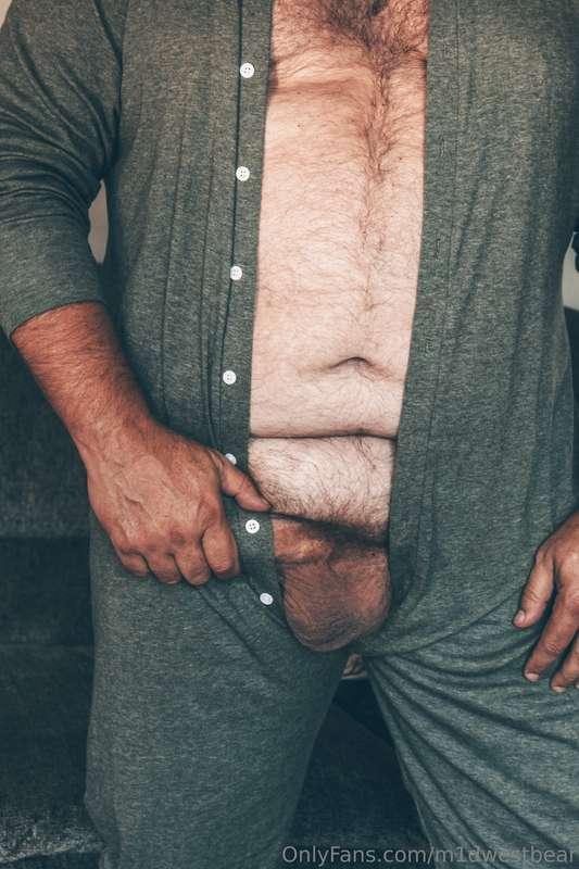 m1dwestbear image #16