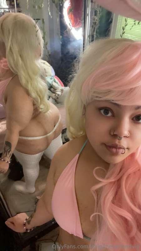 🐑