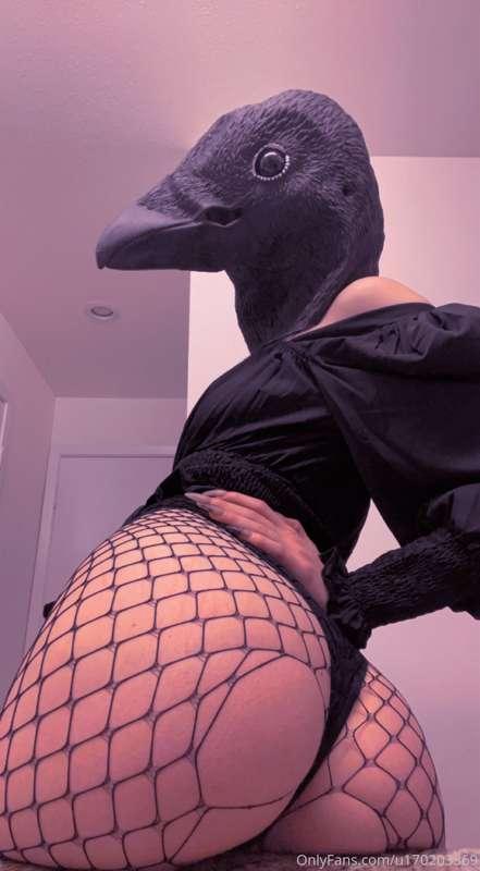 💀🪶 are you gonna come ruffle my feathers ??  😫 what do you t..