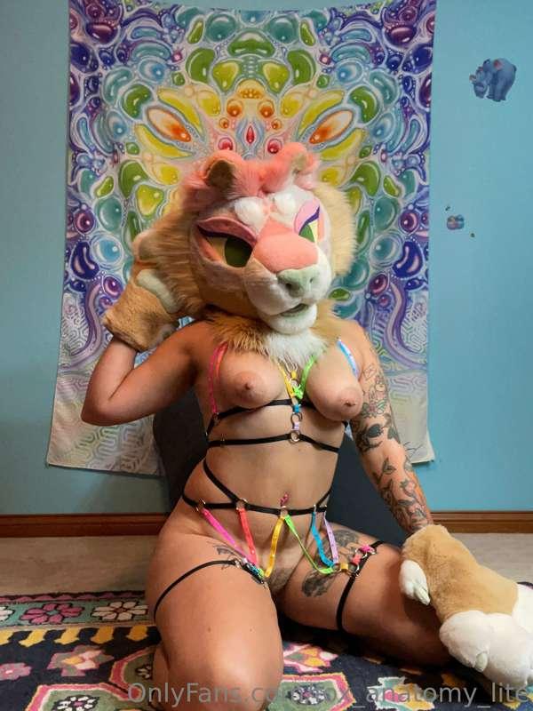 Also say hello to Sasha! The fursuit is made by Houndsteeth ..