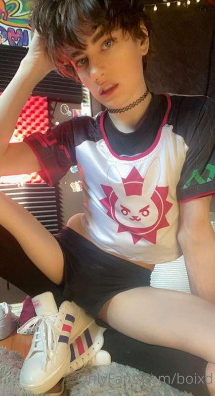 boixd image #15