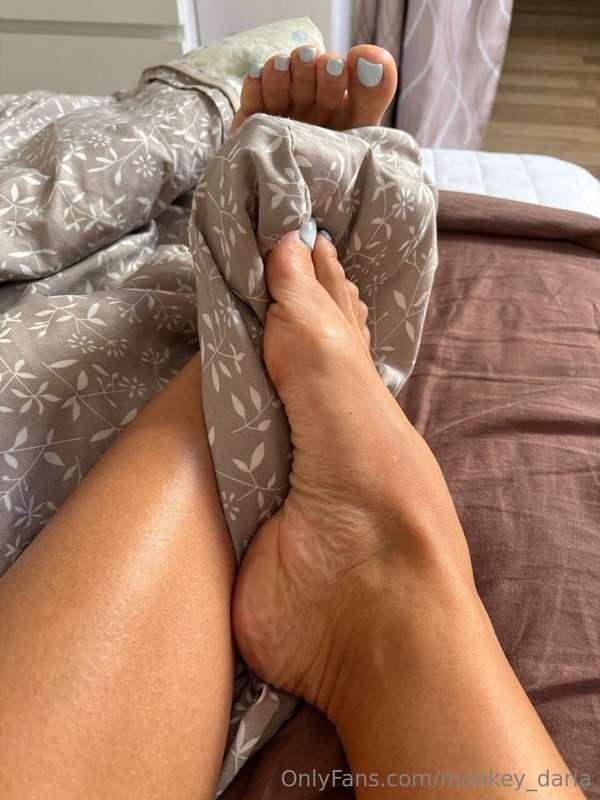 monkey_daria image #1