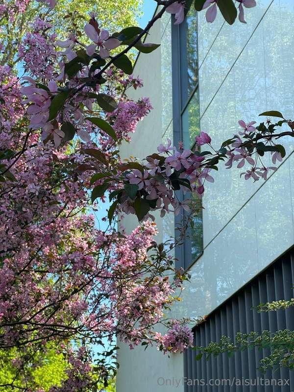 I'm not after attention. I'm after the effect.🤗