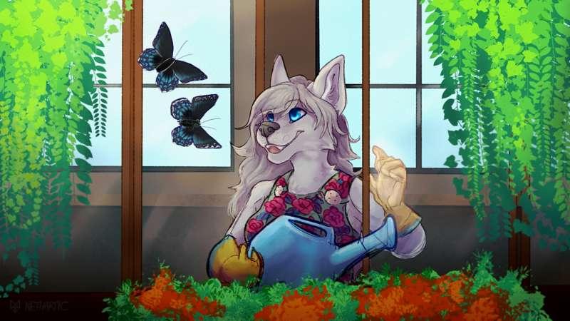 May High Res Images