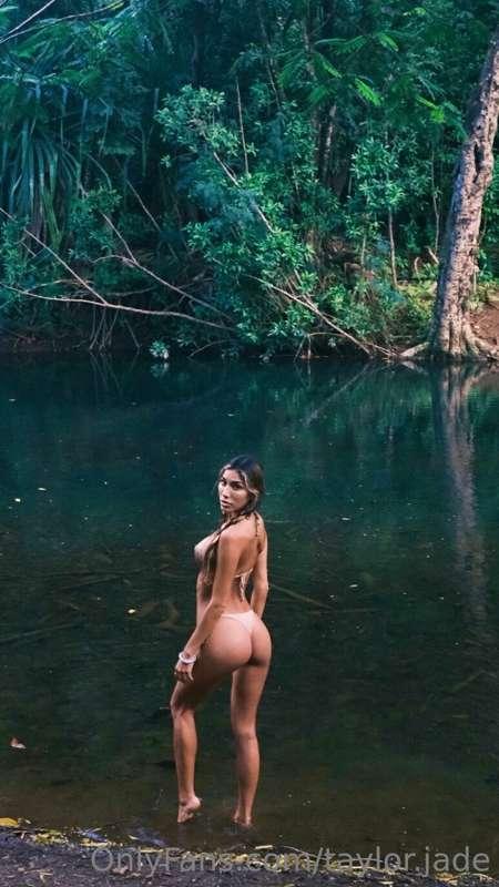 in the jungle the mighty jungle 🌿