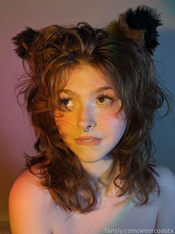 wanna play with a fox girl? 🧡
‎───  ^•ﻌ•^ฅ♡ ‎───
#fyp #young #boobs #tits #cosplay #foxgirl
