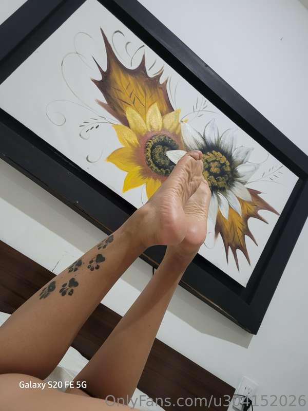 Kiss my feet while my legs are on your shoulders 💙🦊 
Sexting..