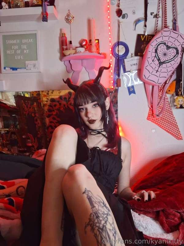 kyanikitty main image
