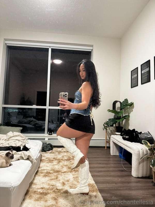 chantellesia image #1