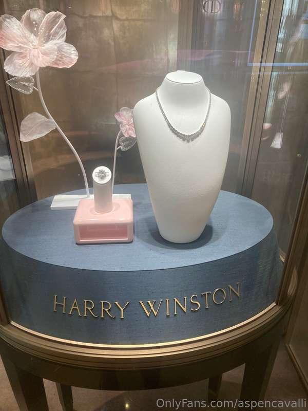 aspencavalli image #0