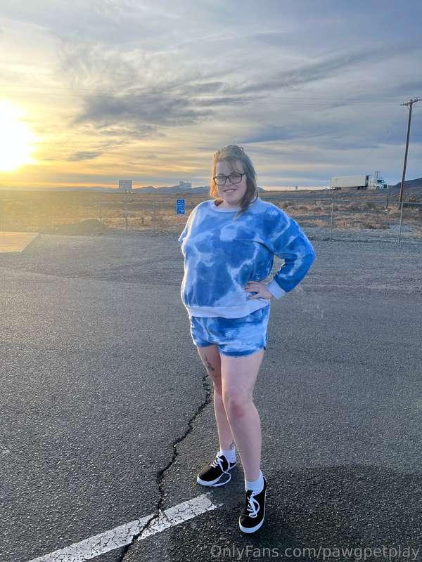 pawgpetplay image #0