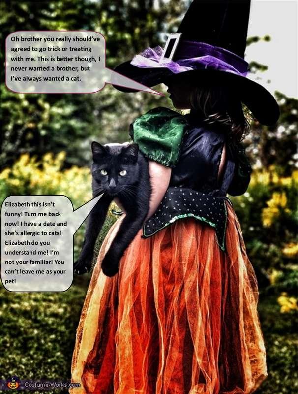 Witches Familiar