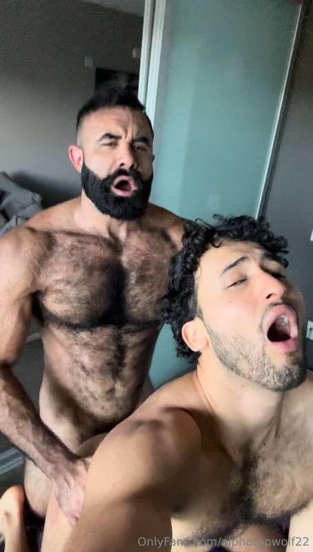 alphatopwolf22 image #29