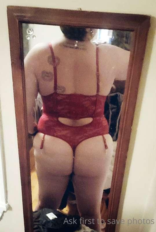 kitten-lunae-lumen image #0