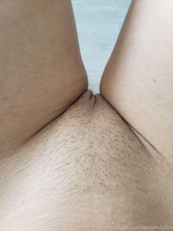Day 4- growing bush out