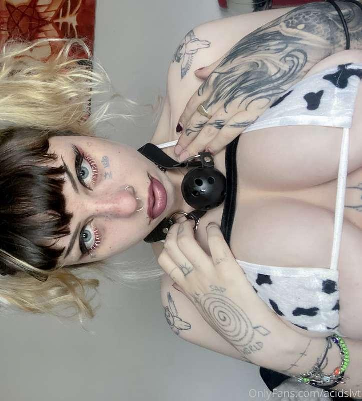 🤍🖤