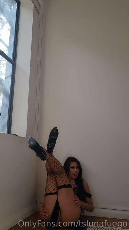 tslunafuego image #12