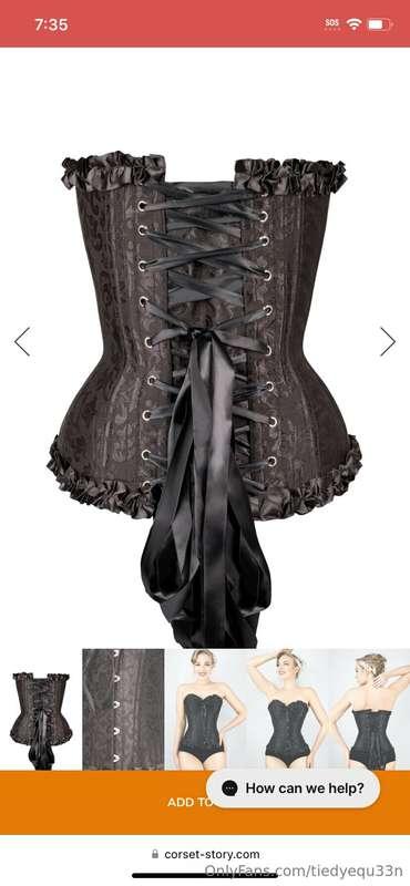 I need to make $227 in order to purchase this corset 😉 anyon..