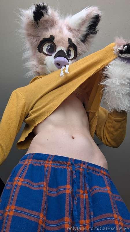 puppies love to tease :3