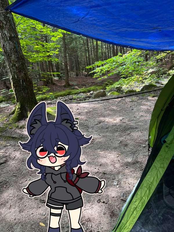 Nivi Trip Photo Dump!!  