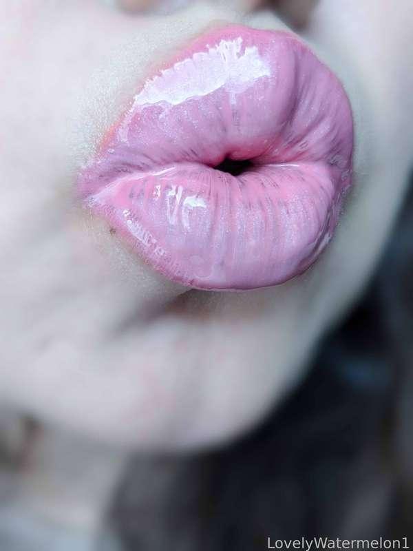 lovelywatermelon1 image #11