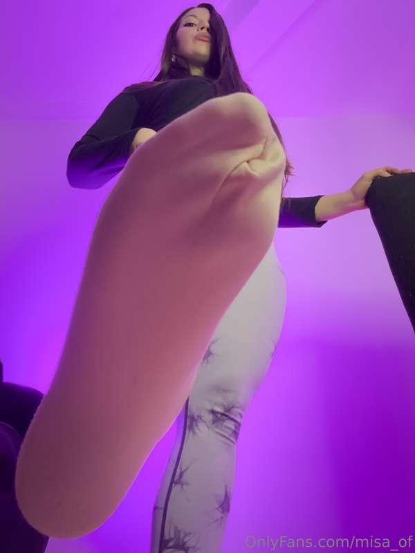 you won't escape