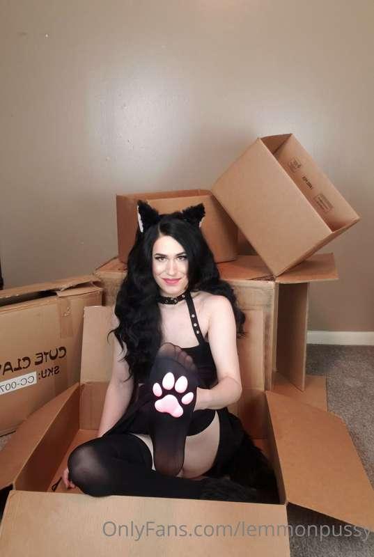 My paws are super soft! wanna feel them?