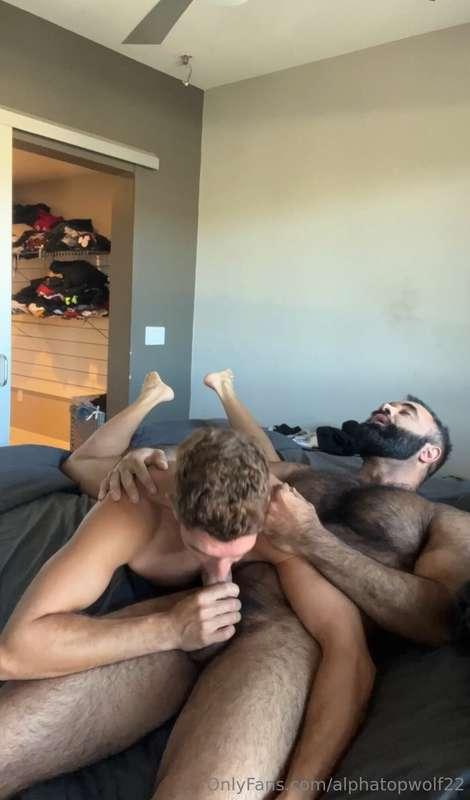 alphatopwolf22 image #8