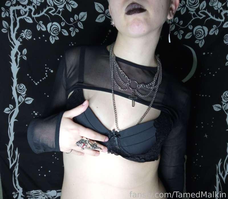 tamedmalkin image #24