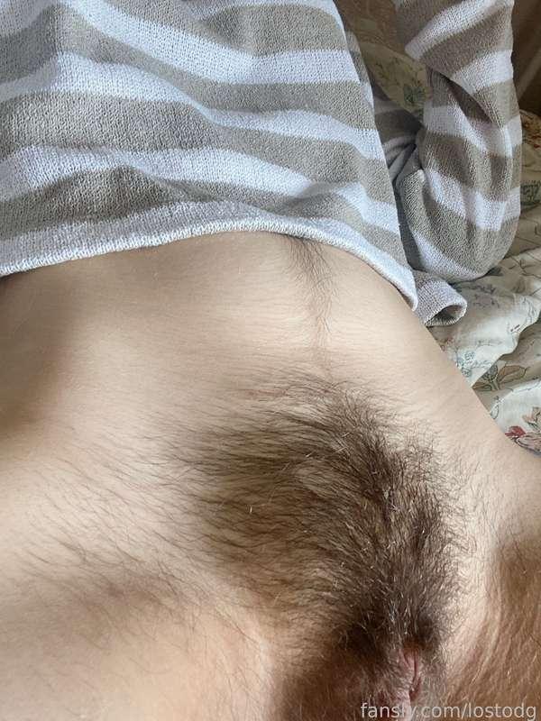lostodg image #2