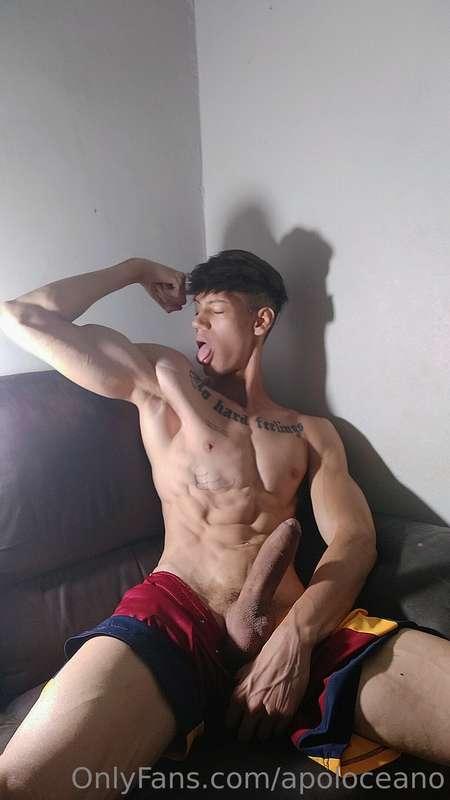 apoloceano main image
