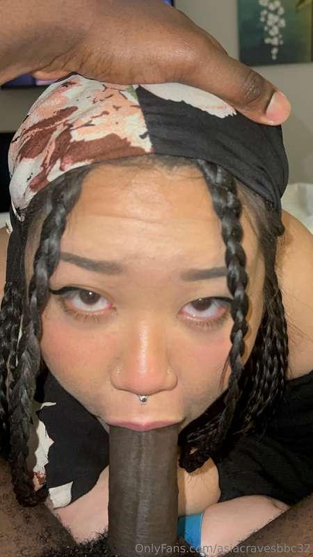 asiacravesbbc32 image #4