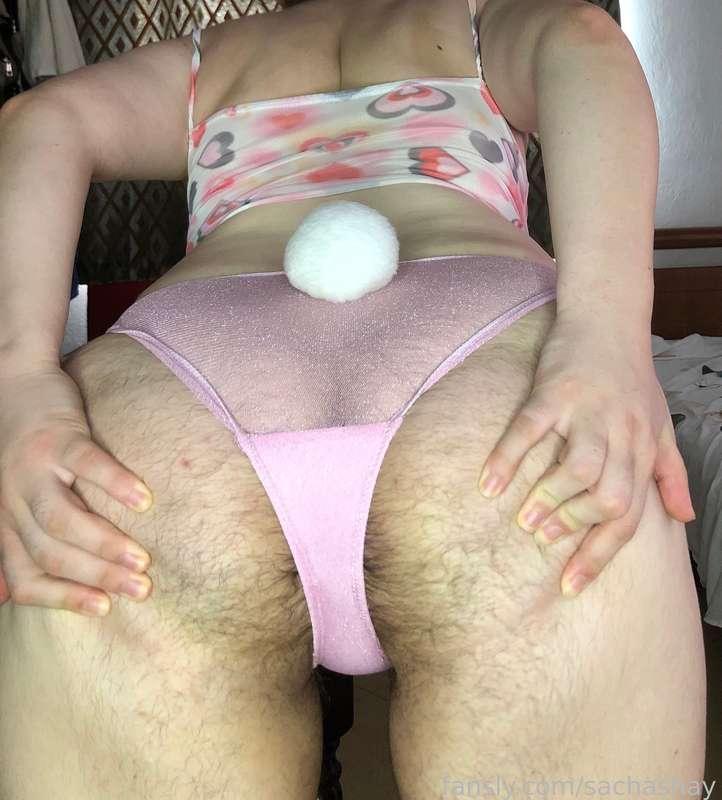 sachashay image #1