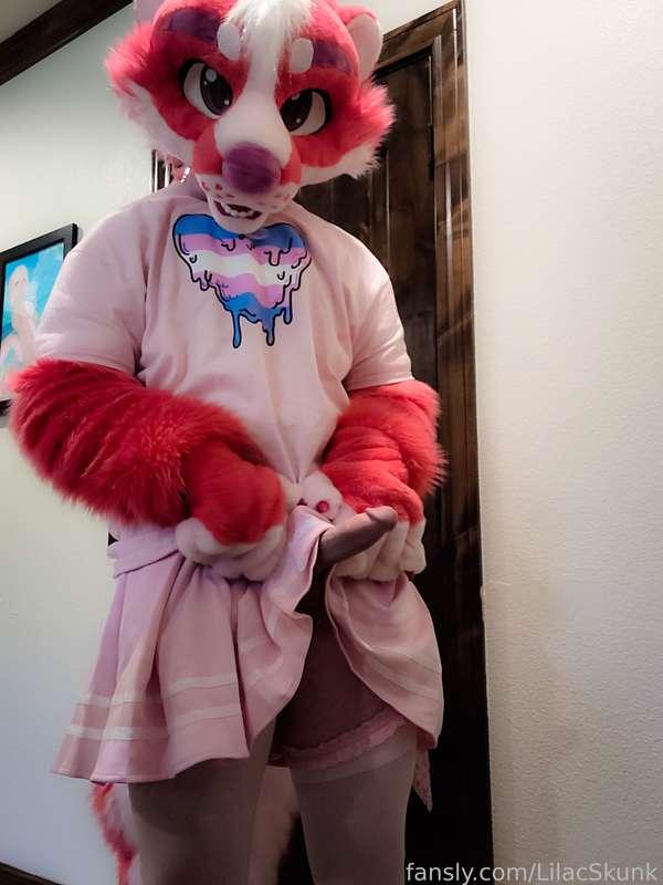 lilacskunk image #11