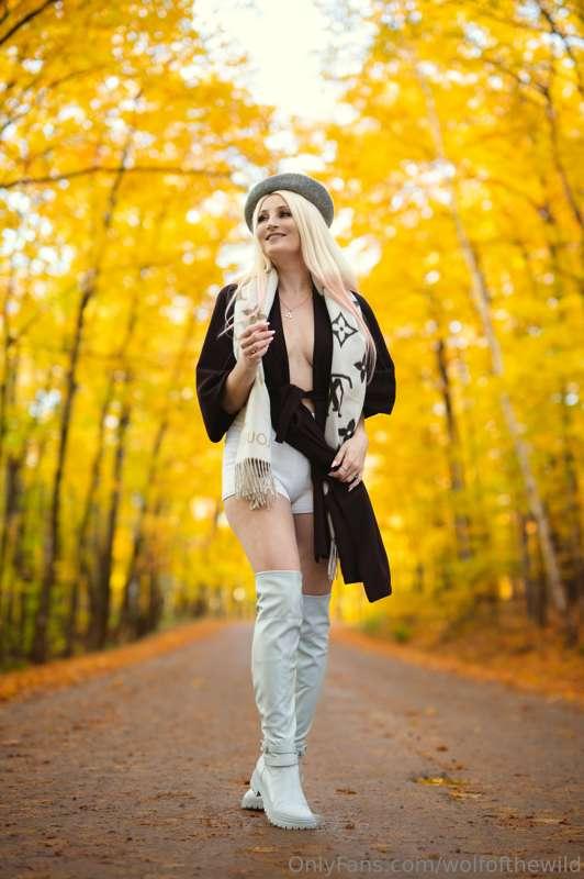 Don't you just LOVE fall colours!