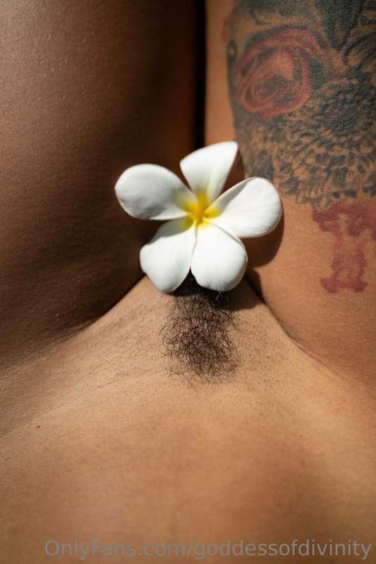 Like my flower 🌺?