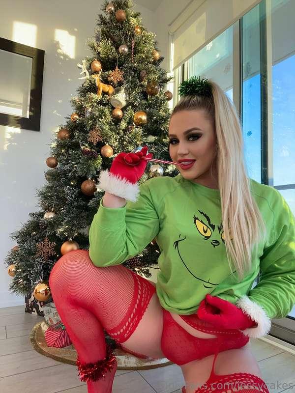 Meet me under the tree 🎄