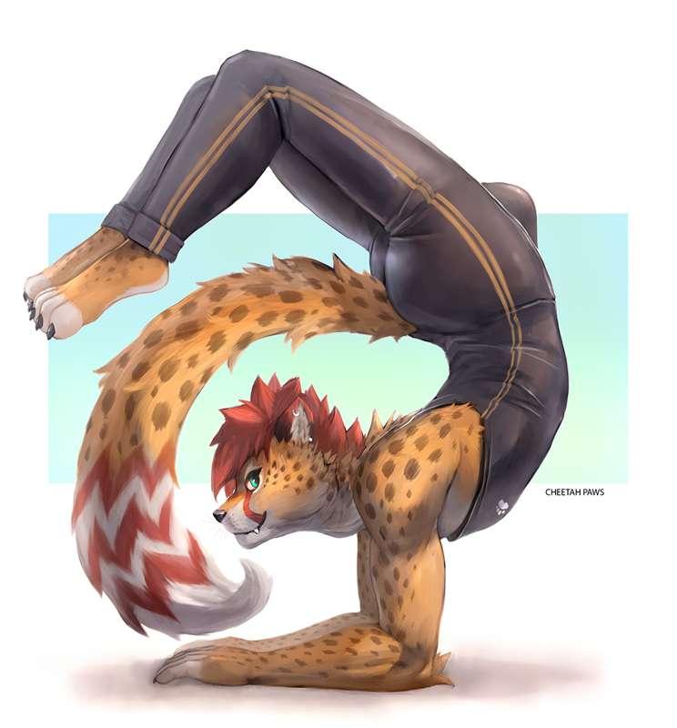 yoga