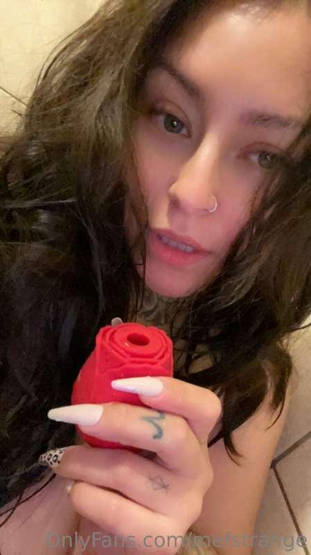 4x in the shower. I love this rose!🌹