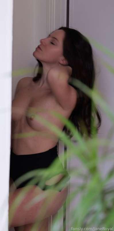 janeroyal image #2