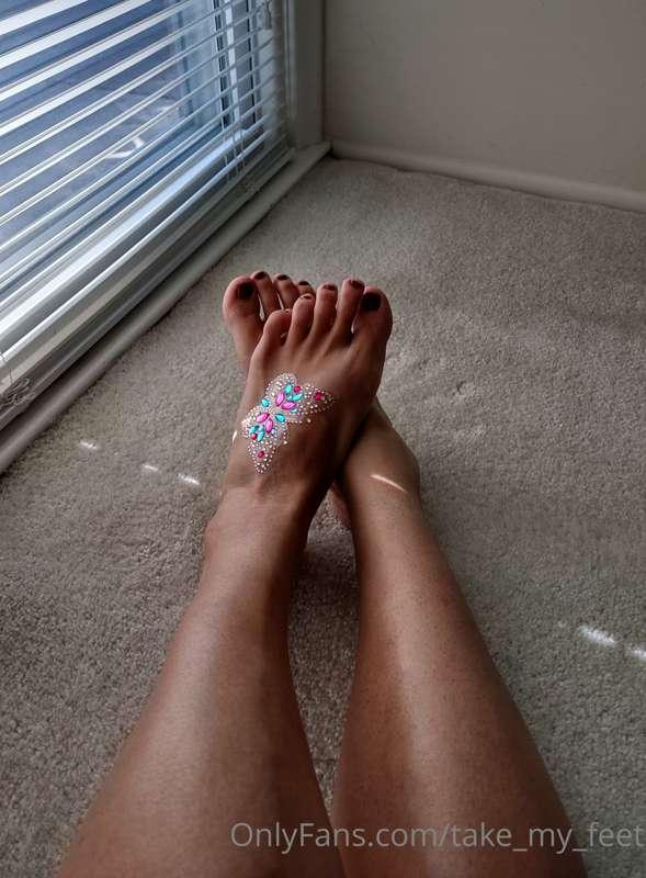I love butterflies and the morning sun!!🦋🌞