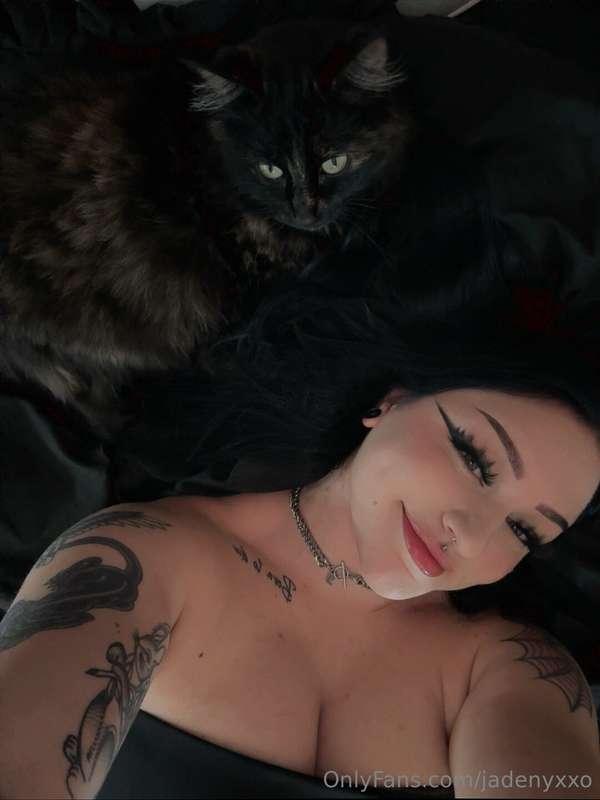 Who is your favorite kitty? 🐱