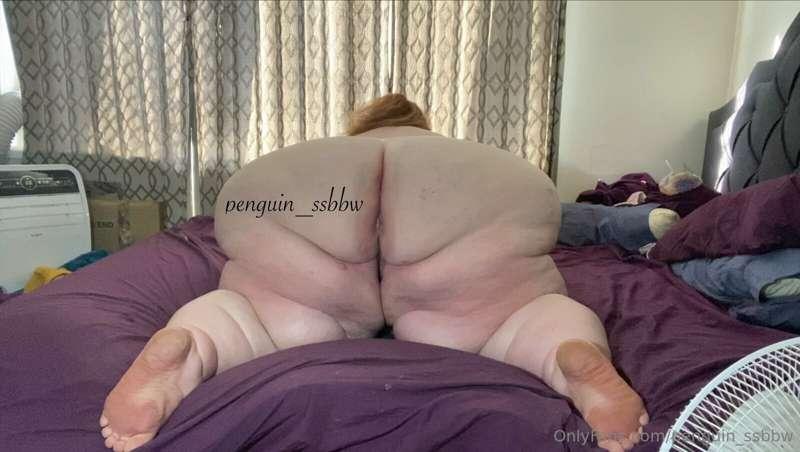 penguin_ssbbw image #0